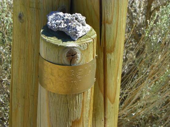 image080